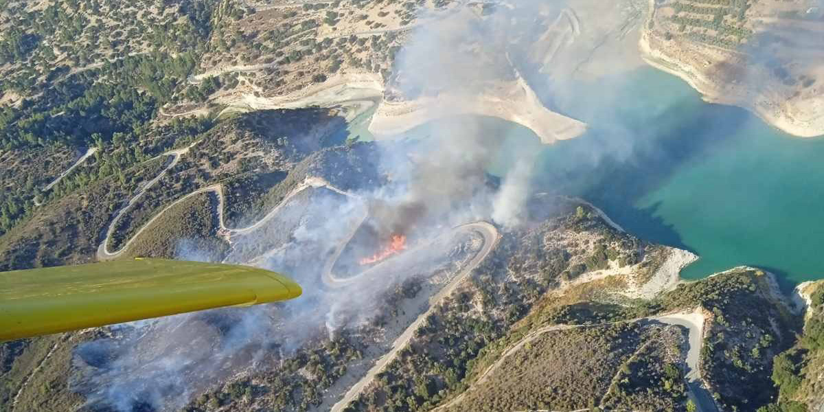 Πυρκαγιά στην Επαρχία Λεμεσού: Κατέκαυσε επτά εκτάρια από χόρτα, δέντρα και άγρια βλάστηση - Δείτε φωτογραφία 