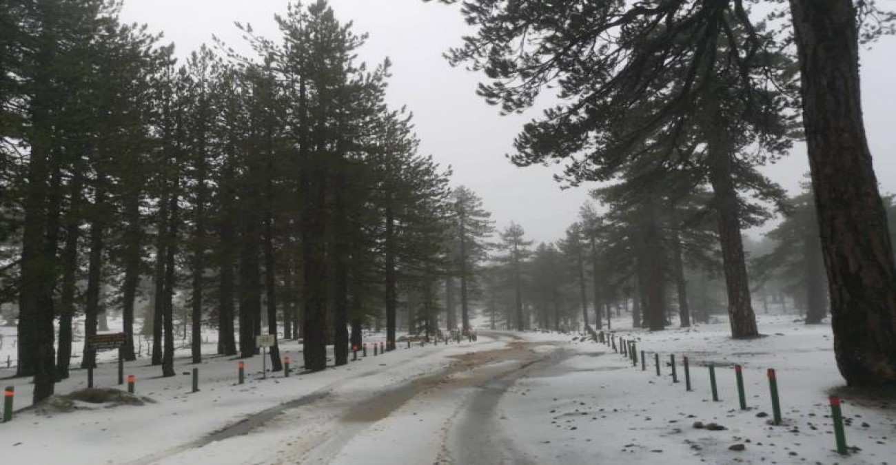 Στα 59 εκατοστά το χιόνι στο Τρόοδος - Κλειστοί οι δρόμοι λόγω χιονόπτωσης