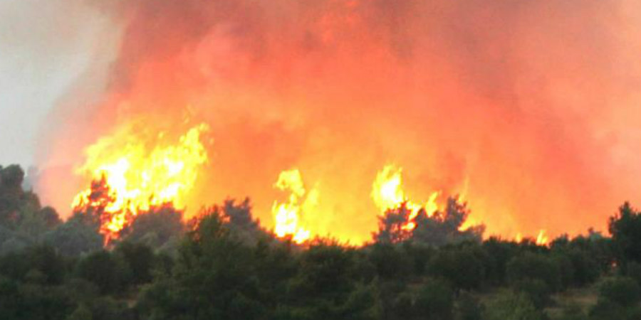 ΠΑΦΟΣ: Ξέσπασε πυρκαγιά σε χωράφι – Κατέκαψε δέντρα, κριθάρι και πλαστικούς σωλήνες