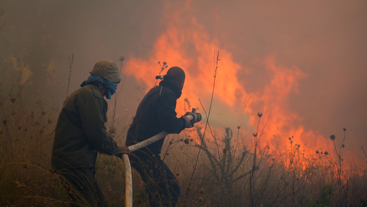 Φονική Πυρκαγιά: Μέχρι την Παρασκευή η έκθεση του Τμήματος Δασών