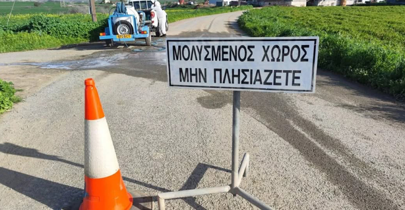 Αφθώδης πυρετός: Έκκληση κτηνιάτρων να σταματήσει η στοχοποίηση για τις θανατώσεις - «Δεν σπουδάσαμε για να σκοτώνουμε ζώα»