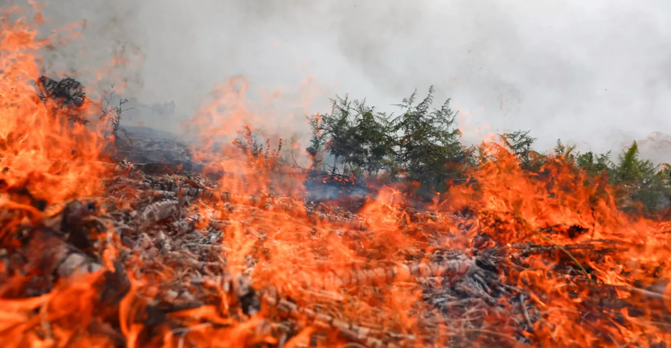 VIDEO: Συναγερμός στη Λευκωσία μετά από πυρκαγιά - Δείτε σε ποια περιοχή 