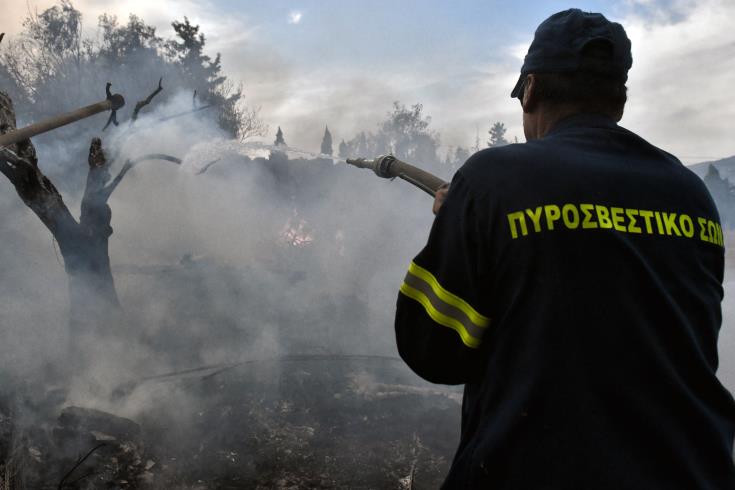 ΕΛΛΑΔΑ: Ξέσπασε φωτιά στην Σαρωνίδα-  Δόθηκε εντολή για εκκένωνση κατοικιών