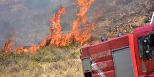 ΠΑΦΟΣ: Συνελήφθη κοινοτάρχης χωριού για την φωτιά μεταξύ Λεμόνας και Πιτταρκού - Θεάθηκε στις 2 από τις 3 εστίες