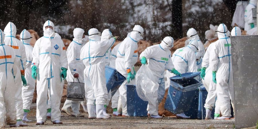 Στους 72 οι νεκροί από τη γρίπη στη Ρουμανία