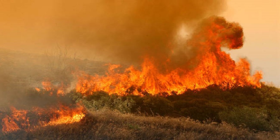 Δασική πυρκαγιά στην Παρεκκλησιά - Επί ποδός το Τμήμα Δασών 