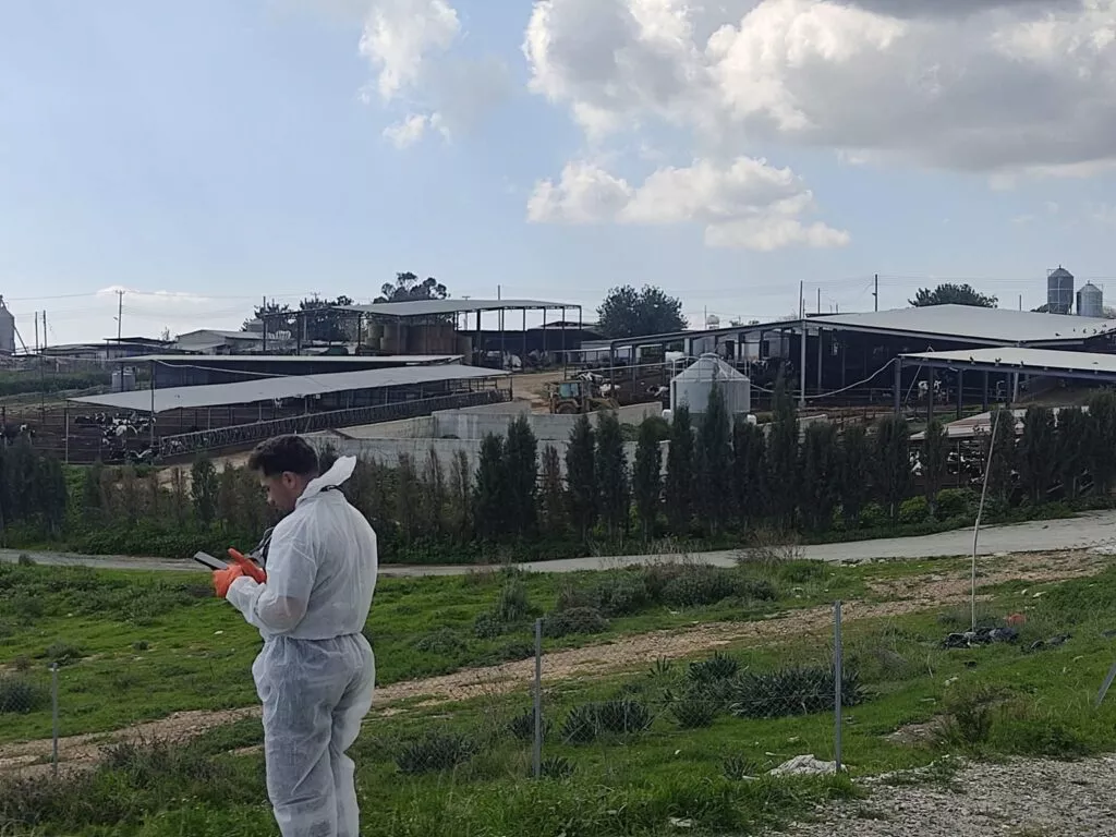 Αφθώδης πυρετός: Καταγγελίες ότι θανατώνουν τα ζώα με σμίλες - Τι θα ζητήσουν αύριο από τον ΠτΔ οι Αγροτικές Οργανώσεις