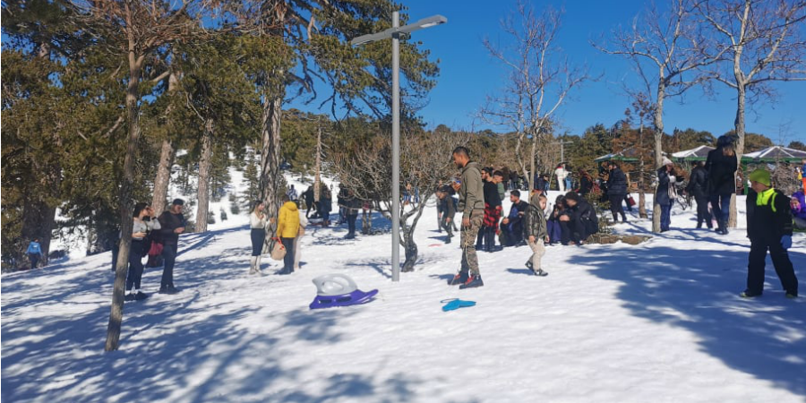  «Ξεχύθηκαν» οι Κύπριοι στο Τρόοδος - Έτρεξαν να απολαύσουν την Κυριακή τους στα χιόνια - ΦΩΤΟΓΡΑΦΙΕΣ ΚΑΙ ΒΙΝΤΕΟ 
