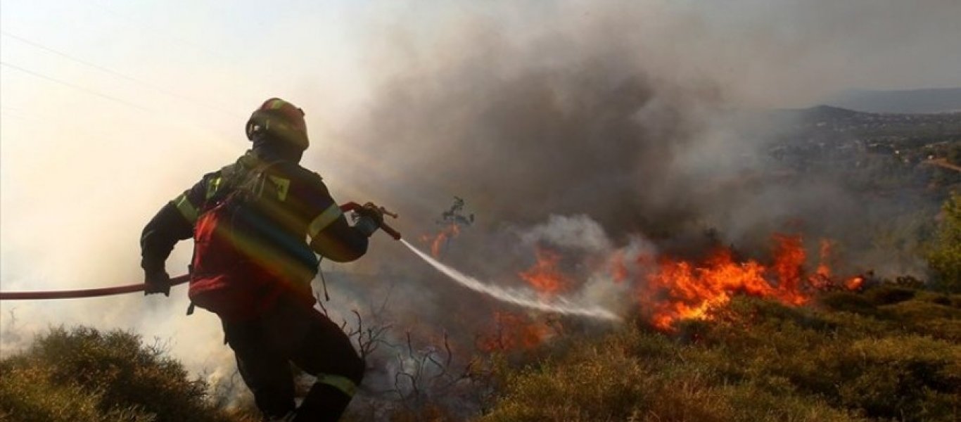 Δασική πυρκαγιά στα Καμπιά - Εκδηλώθηκε από καψαλίσματα 