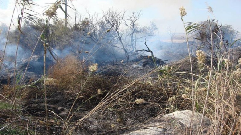 Σε 'Κόκκινο Συναγερμό' ο κίνδυνος πρόκλησης δασικών πυρκαγιών - Τηλέφωνα για πυρκαγιές