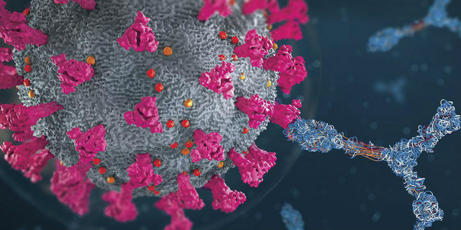 Delmicron και Florona: Τι γνωρίζουμε για τις νέες μεταλλάξεις κορωνοϊου και γρίπης