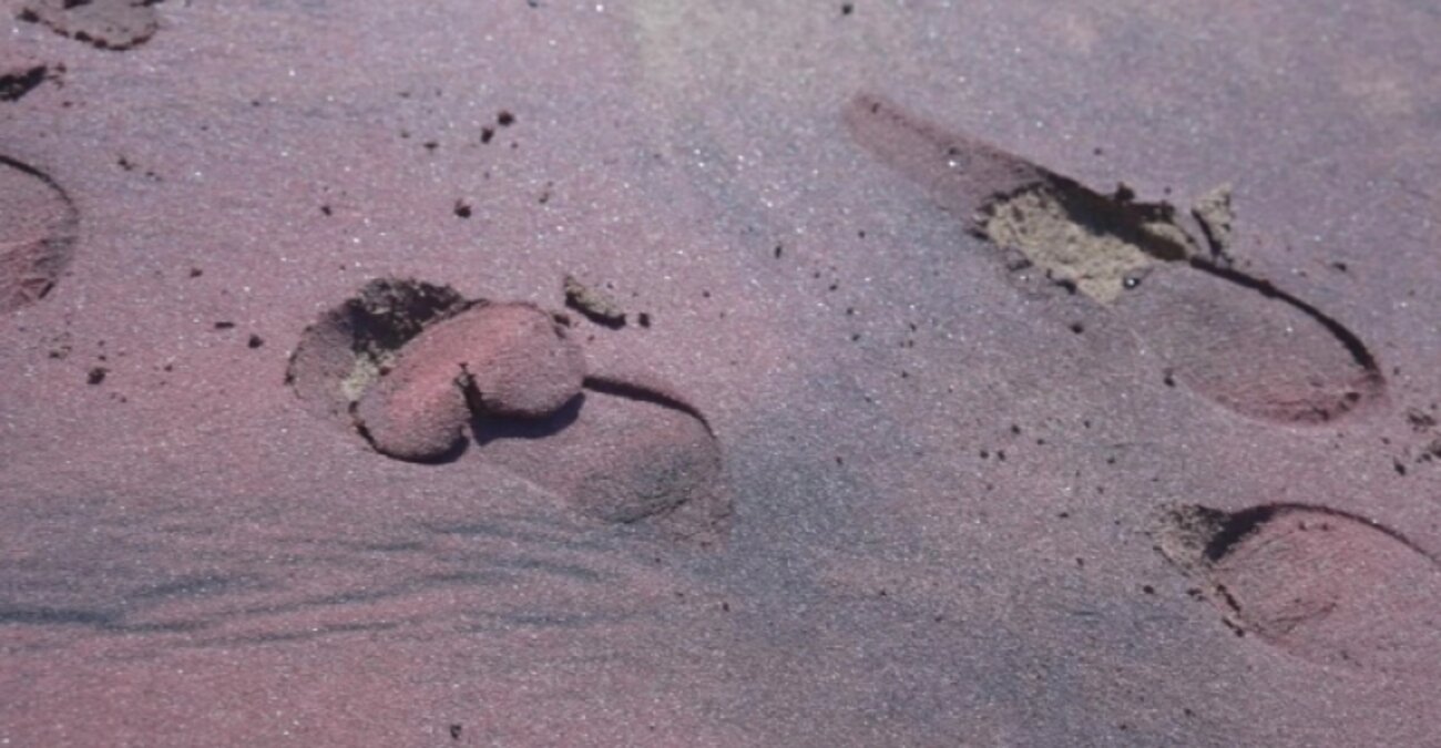 Η παραλία με τη μωβ άμμο: Το μυστήριο της φύσης που έχει μείνει αναπάντητο από τους επιστήμονες - Δείτε βίντεο