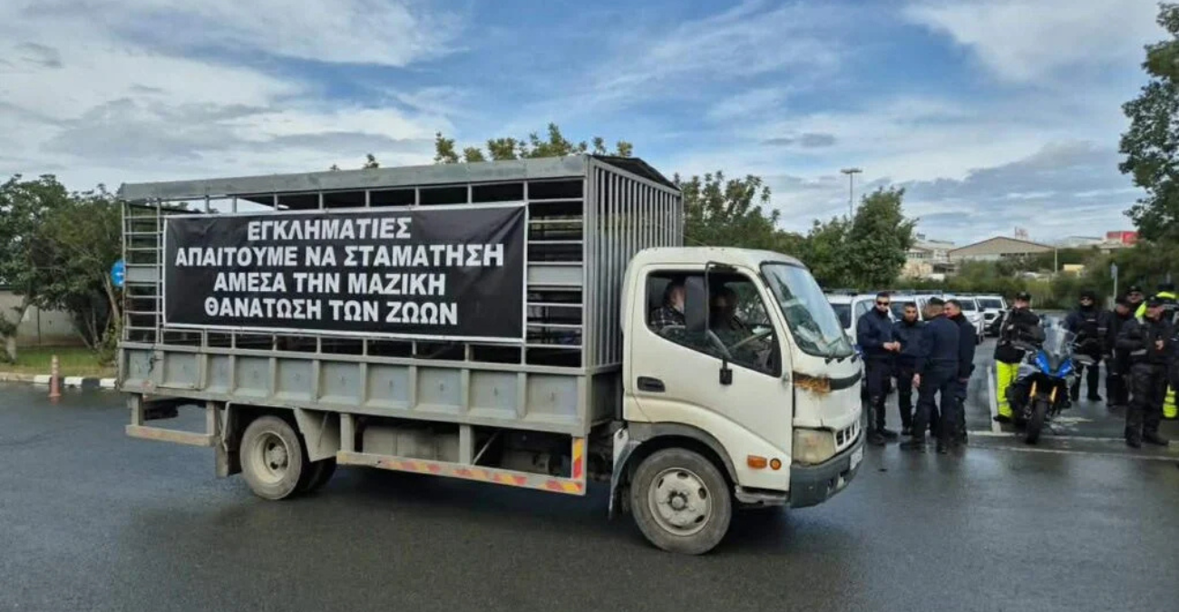 Σε κρίση η κτηνοτροφία στην Αθηένου – SOS από παραγωγούς για τη νόσο και τις μαζικές θανατώσεις ζώων