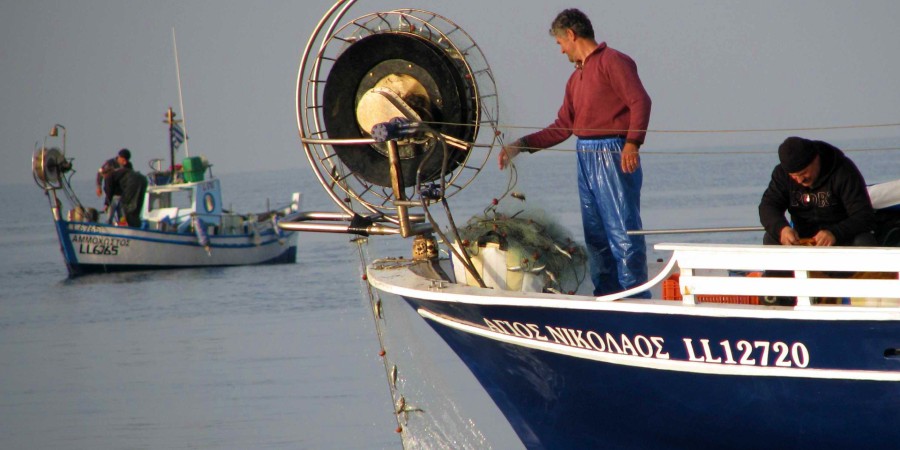Καταρτίζει σχέδιο δράσης το Τμήμα Αλιείας μετά την ειδική έκθεση της Ελεγκτικής - Αναφορά σε σημαντική υποστελέχωση