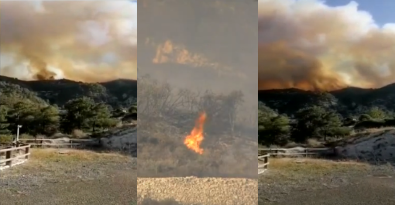 Πυρκαγιά στην Τριμίκλινη: Τεράστιες οι καταστροφές - «Καταθλιπτική η κατάσταση, κάηκε ολόκληρο το βουνό» - Βίντεο