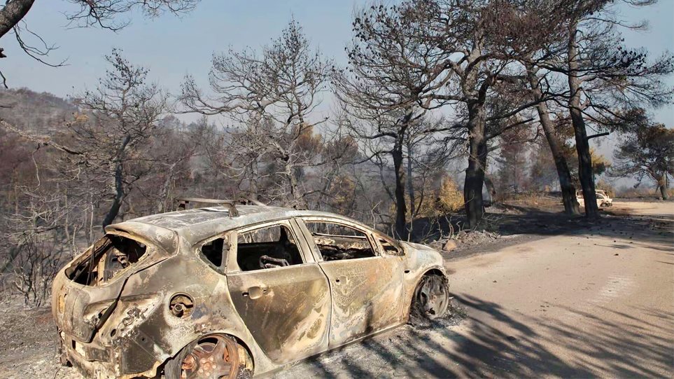 ΠΥΡΚΑΓΙΑ ΕΥΒΟΙΑ: Κρανίου τόπος το δάσος Natura που κάηκε – ΦΩΤΟΓΡΑΦΙΕΣ