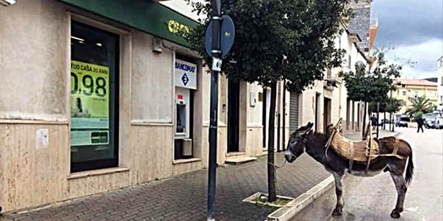 «Ο γάρος της ημέρας»: Ξέφυγαν τα παρκαρίσματα στην Κύπρο – Οδηγός «κόβει» το πέρασμα σε ποδηλατόδρομο - Δείτε φωτογραφία