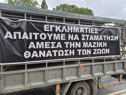 Αφθώδης πυρετός: Με μαύρο φέρετρο έξω από το Προεδρικό οι κτηνοτρόφοι - Ζητούν τερματισμό της μαζικής θανάτωσης ζώων