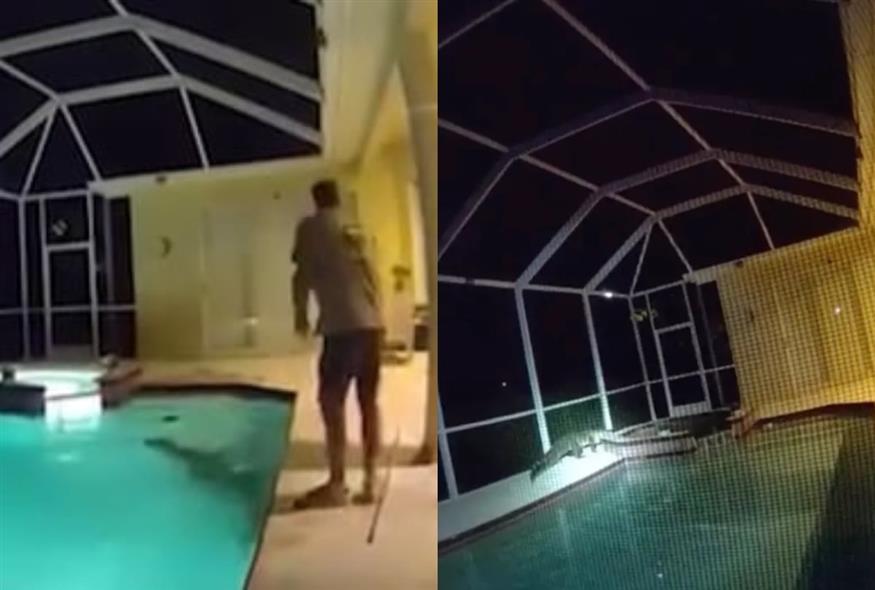 Σοκαριστικό βίντεο: Βρήκε αλιγάτορα να κάνει βουτιές στην πισίνα του - «Είναι τεράστιος» - Δείτε βίντεο