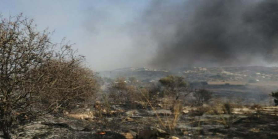 ΠΑΦΟΣ: Υπό έλεγχο η φωτιά - Κατέκαψε 10 εκτάρια ξηρά χόρτα και άγρια βλάστηση