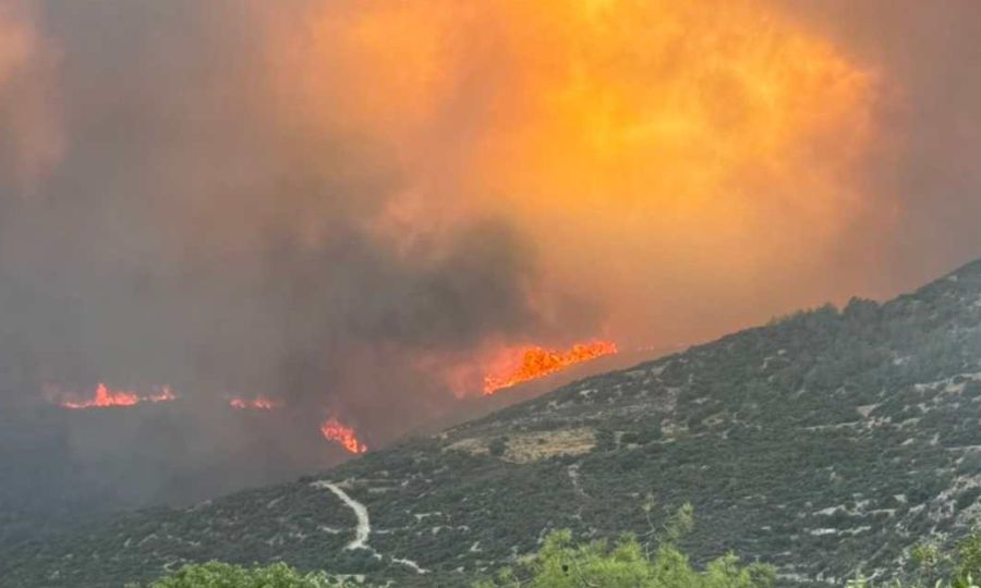 Πυρκαγιά στην ορεινή Λεμεσό: Νέα ηλεκτρονική υπηρεσία για Δήλωση Ζημιάς πυρόπληκτων γεωργών-κτηνοτρόφων - Ποιοι οι δικαιούχοι
