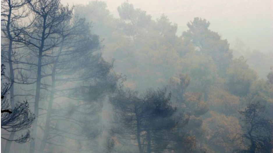 ΚΥΠΡΟΣ: Υπό έλεγχο δασική πυρκαγιά στο Δάσος Πάφου από πτώση κεραυνού
