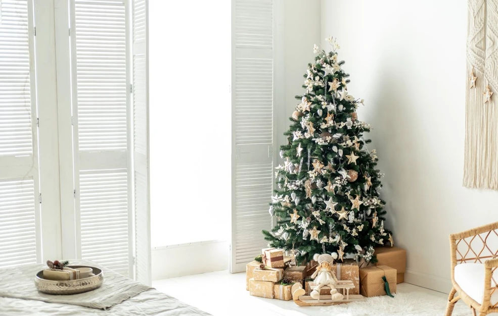 Αν δεν στολίσατε ακόμη, δείτε τα τρία καλύτερα σημεία για να τοποθετήσετε το χριστουγεννιάτικο δέντρο σύμφωνα με... το φενγκ σούι