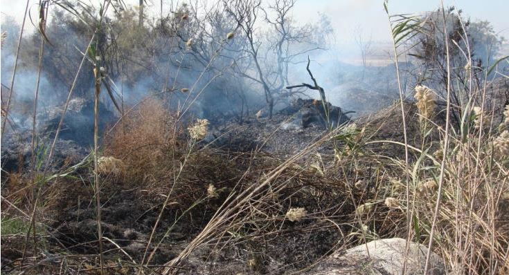 Δασική πυρκαγιά στο Λατσί - Τέθηκε υπό πλήρη έλεγχο