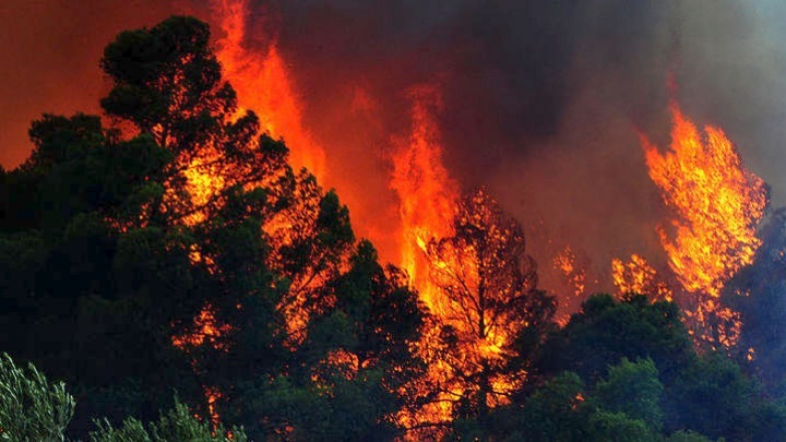 ΠΥΡΚΑΓΙΑ ΕΥΒΟΙΑ: Σχεδόν 23.000 στρέμματα έχουν καεί από την Τετάρτη 