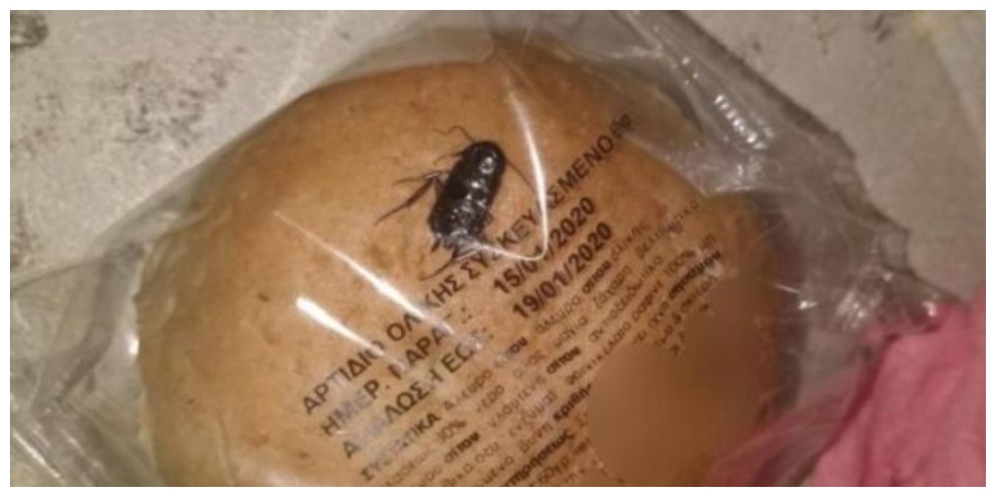 ΕΛΛΑΔΑ: Μαθητής δημοτικού βρήκε συσκευασμένη κατσαρίδα σε ψωμάκι