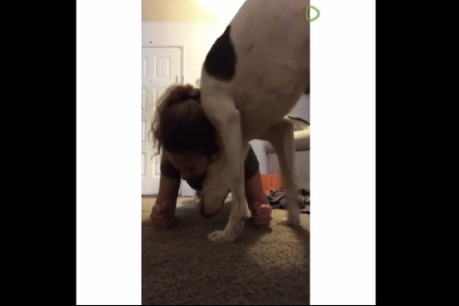 Προσπαθούσε να κάνει γυμναστική όμως ο σκύλος της δεν την άφηνε – ΒΙΝΤΕΟ