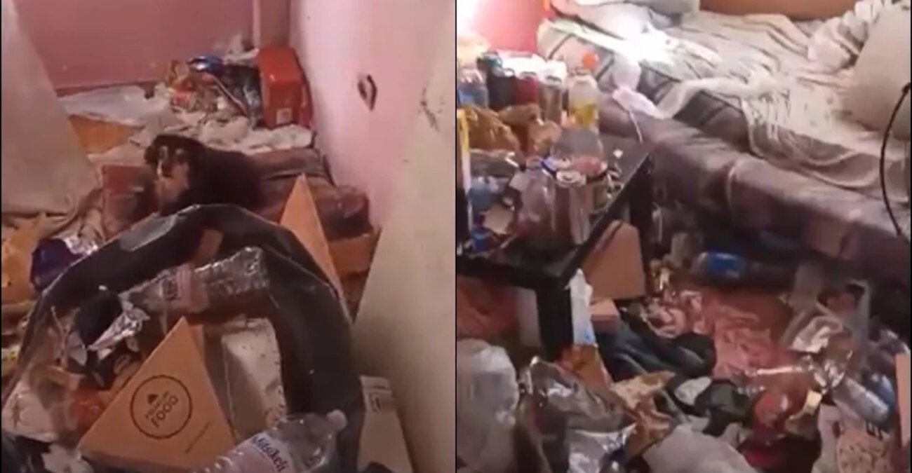Σκυλάκια ζούσαν σε σπίτι-τρώγλη στη Θεσσαλονίκη - Συνελήφθη ο ιδιοκτήτης - Δείτε σοκαριστικό βίντεο