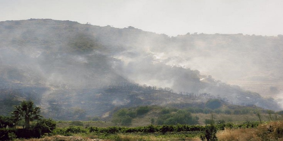 ΛΕΥΚΩΣΙΑ: Υπό έλεγχο δασική πυρκαγιά παρά την κοινότητα Σια