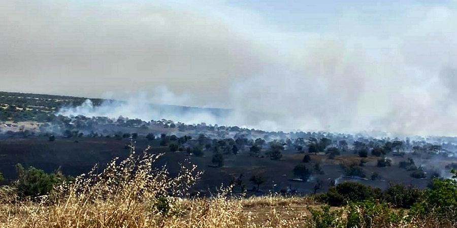 Φωτιά μαίνεται στα κατεχόμενα κοντά στο Δασάκι Άχνας - Επί ποδός σύσσωμη Πυροσβεστική και Αστυνομία των Βάσεων