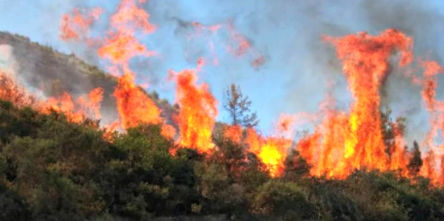 Στο κόκκινο ο συναγερμός: Έκκληση του Τμήματος Δασών - Τεράστιος ο κίνδυνος για δασικές πυρκαγιές