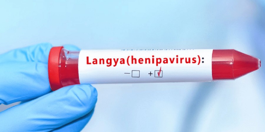 Διευκρινίσεις Υπ. Υγείας για τον ιό Langya - Ποια τα κυριότερα συμπτώματα