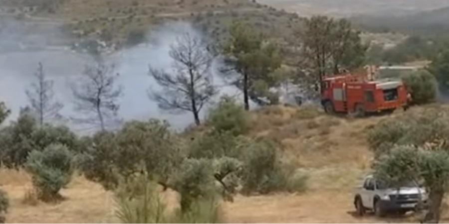 ΚΥΠΡΟΣ: Πυρκαγιά από πτώση κεραυνού κοντά στο δάσος του Τροόδους 