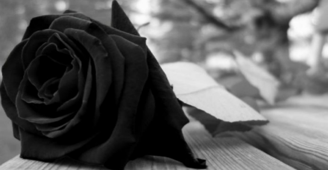 Ανείπωτη θλίψη: Έφυγε από τη ζωή η Κατερίνα Περικλέους – Δείτε φωτογραφία της