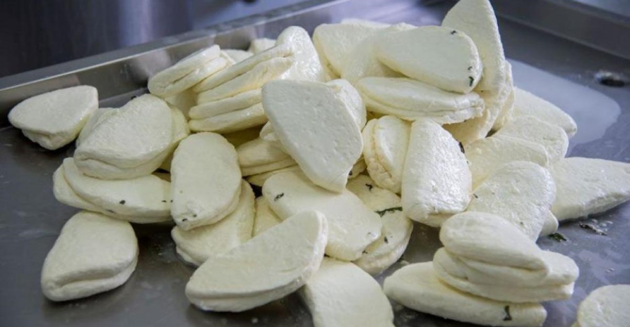 Αύξηση αιγοπρόβειου γάλακτος για χαλλούμι εισηγείται το Υπ. Γεωργίας