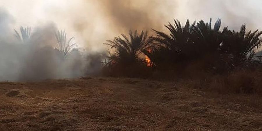 ΠΑΦΟΣ: Ζημιές σε υποστατικό και ελιές από τη φωτιά