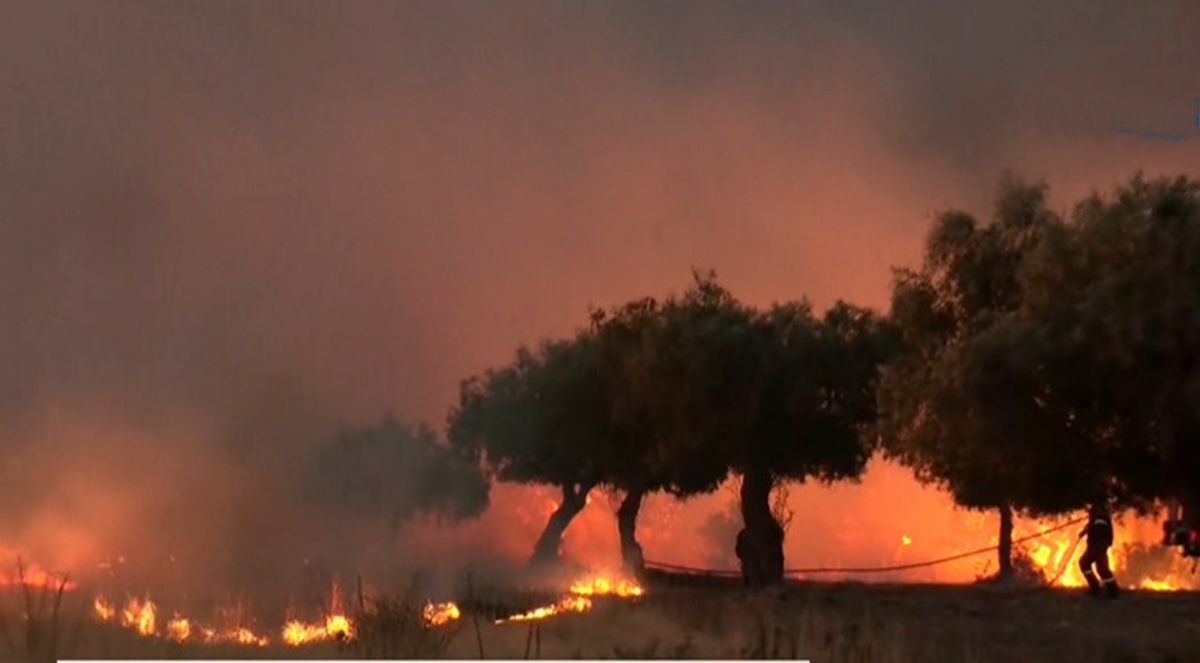 Eλλάδα: Πύρινο τόξο στον Κιθαιρώνα: Κρίσιμες ώρες για Βένιζα και Ψάθα – Τιτάνια προσπάθεια να ανακοπεί η φωτιά, κίνδυνος εκρήξεων