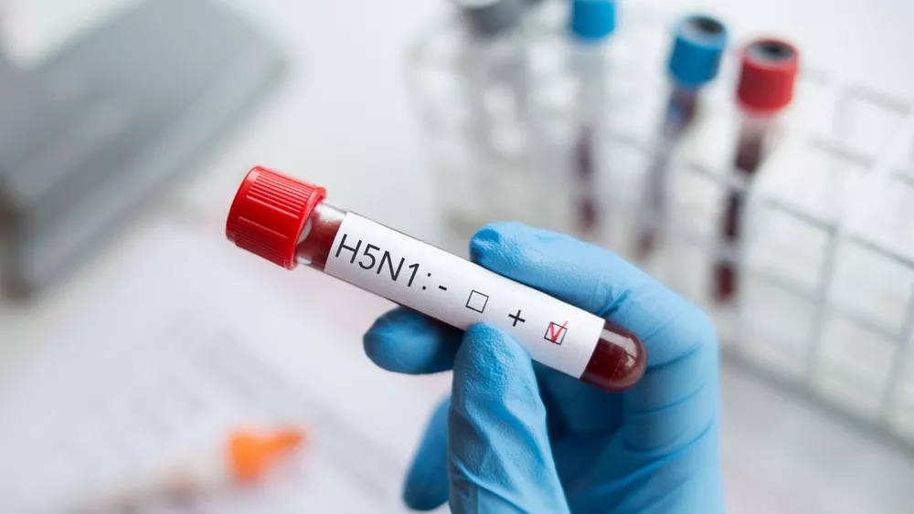 Η γρίπη των πτηνών «χτυπάει» την Ευρώπη – Νέος οδηγός ετοιμότητας από το ECDC