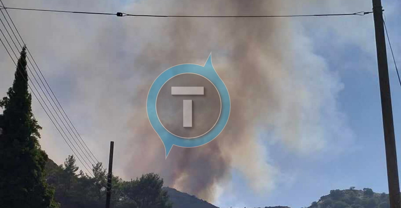 Πυρκαγιά Λεμεσός: Αρκετά βελτιωμένη η εικόνα - Παραμένουν ισχυρές δυνάμεις στο σημείο