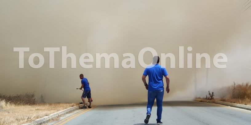 ΛΕΥΚΩΣΙΑ: Πυρκαγιά στις Χαλεπιανές - ΦΩΤΟΓΡΑΦΙΕΣ