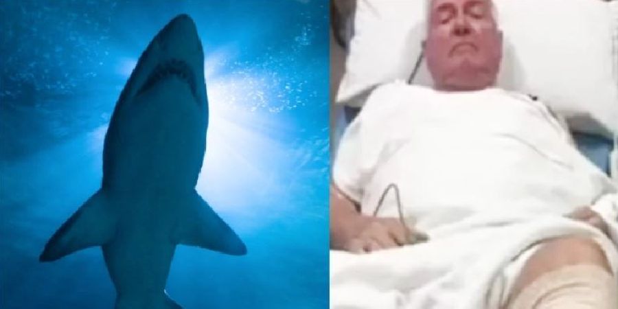 Καρχαρίας επιτέθηκε σε ηλικιωμένο στις ΗΠΑ - Τον έβγαλε νοκ-άουτ με μια γροθιά - Δείτε βίντεο