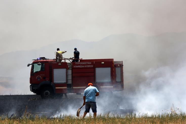 Υπό πλήρη έλεγχο δασική πυρκαγιά στην κοινότητα Αγροκηπιάς