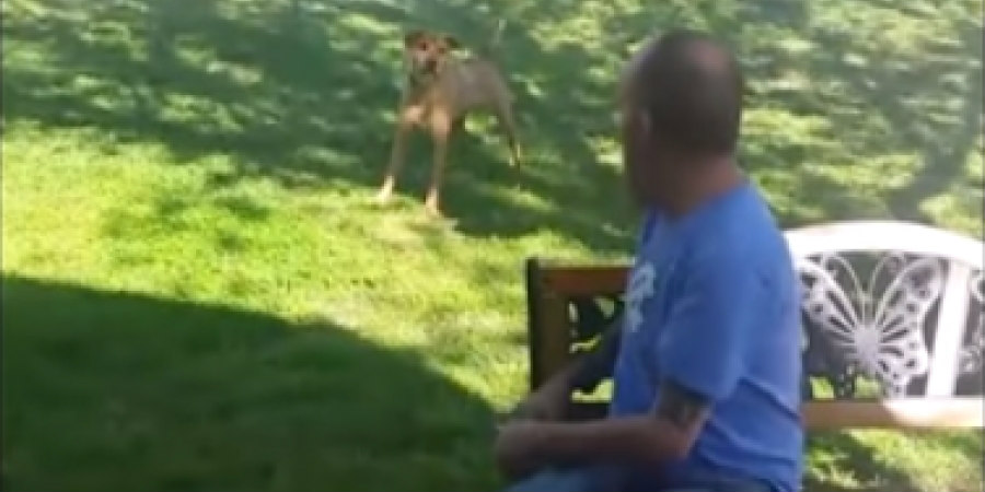 Απίστευτο! Έχασε τόσα κιλά που δεν τον αναγνώρισε ούτε ο σκύλος του! VIDEO