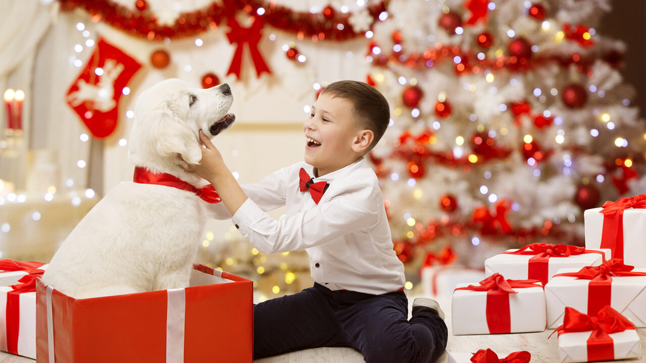 Το παιδί θέλει σκυλάκι για τα Χριστούγεννα: Να δεχθείτε ή να αρνηθείτε;