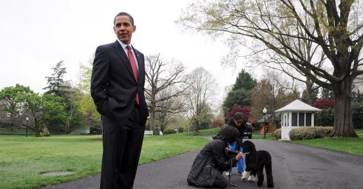 Πέθανε ο Μπο, ο σκύλος του Μπαράκ Ομπάμα και σταρ του Λευκού Οίκου