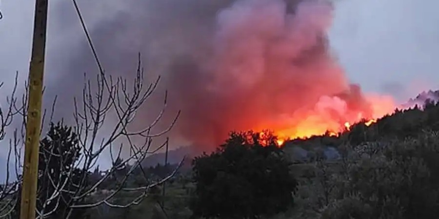 Ελλάδα: Μεγάλη πυρκαγιά στην Ηλεία – Μαίνεται από χθες βράδυ - Τρία αεροσκάφη στη «μάχη» - Δείτε βίντεο